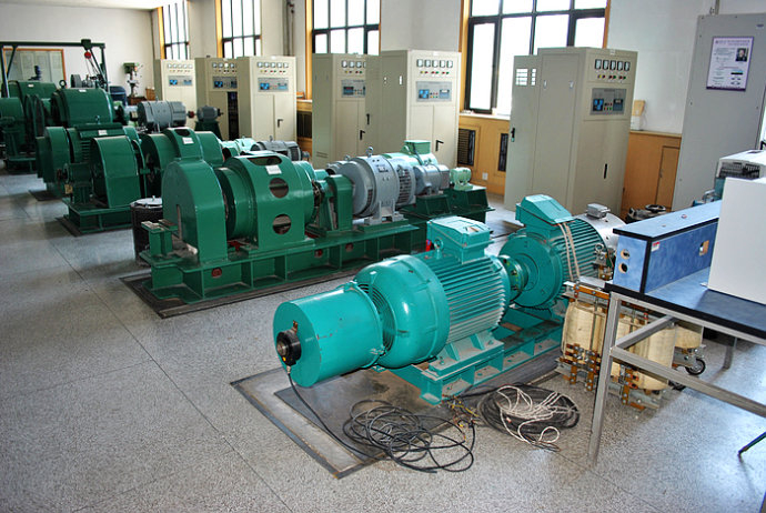 国营东路农场某热电厂使用我厂的YKK高压电机提供动力